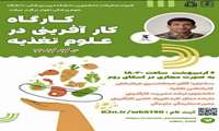 کار افرینی در علوم تغذیه 