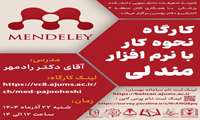  کارگاه مجازی نحوه کار با نرم افزار مندلی  