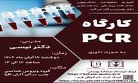  کارگاه حضوری PCR (به صورت تئوری)